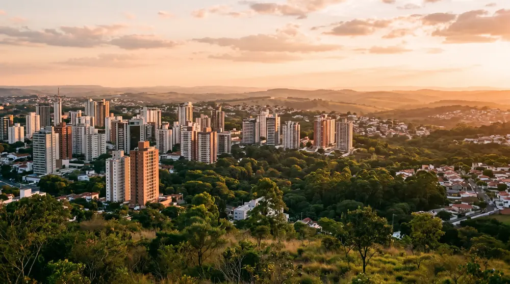 Vista de Campinas
